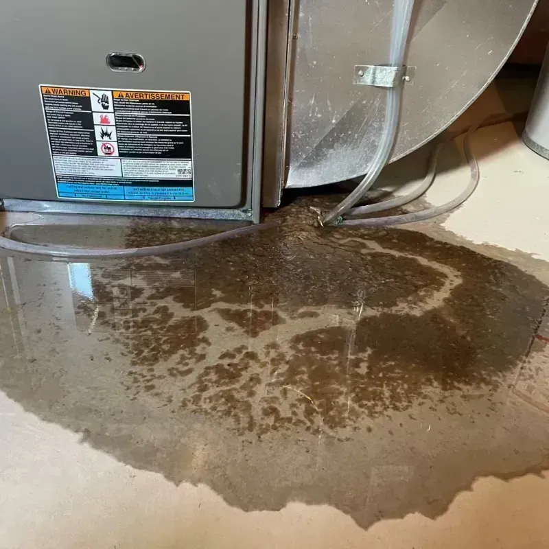 Appliance Leak Cleanup in Middleburg Heights, OH